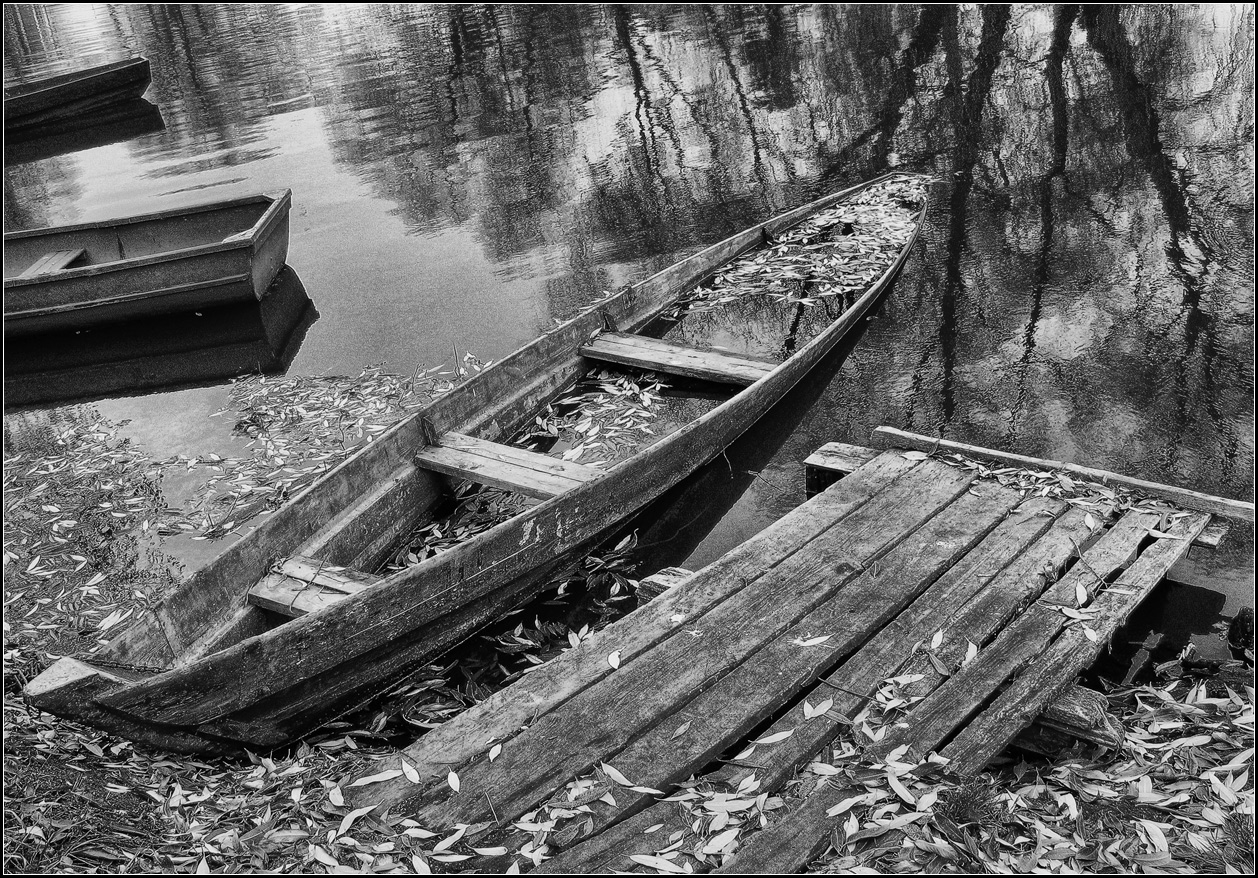 photo "old boat" tags: misc., nature, black&white, 