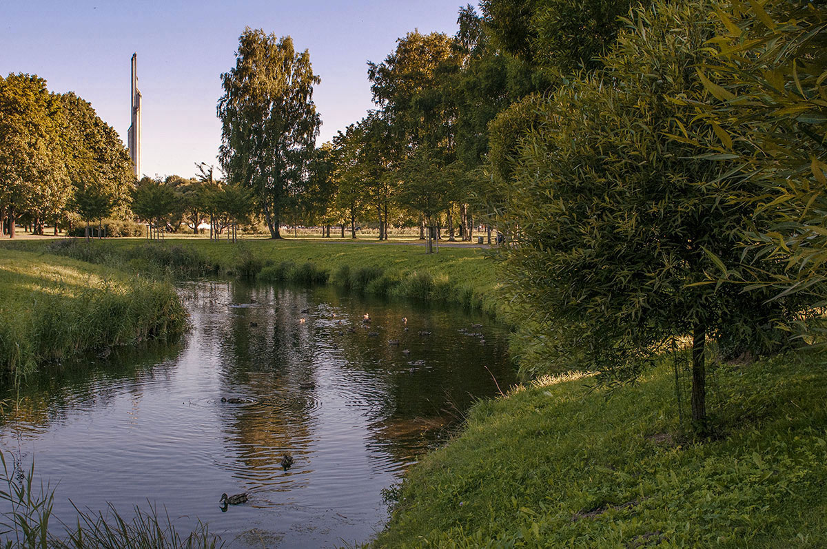 photo "***" tags: landscape, nature, sky, water, деревья, утки