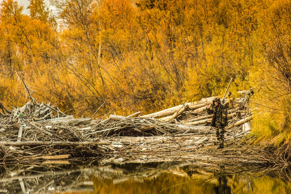 photo "***" tags: landscape, nature, 