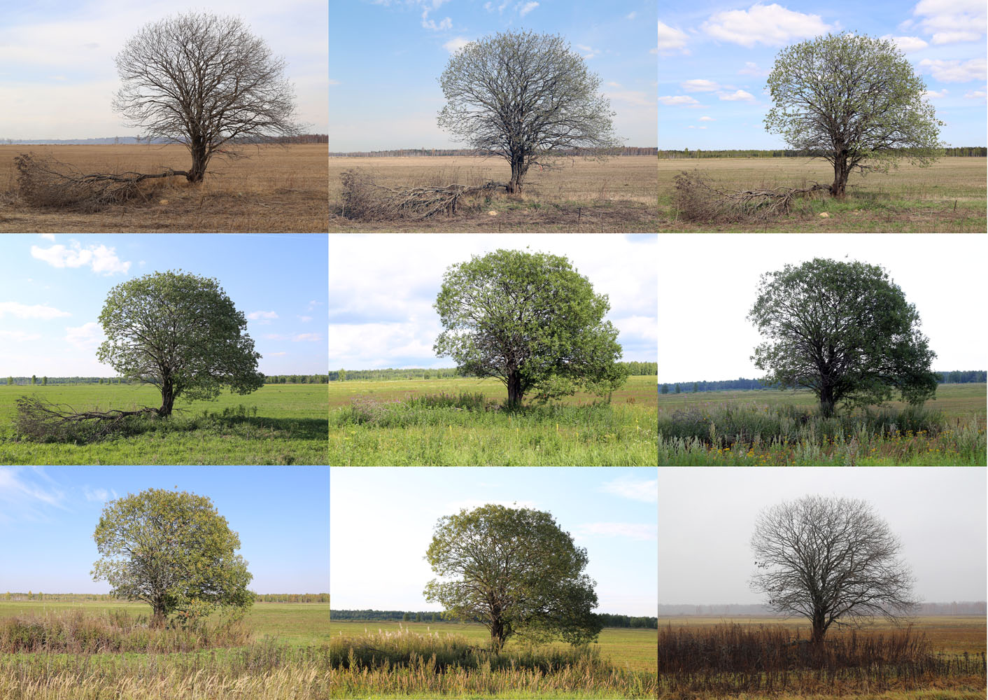 photo "***" tags: landscape, montage, misc., 