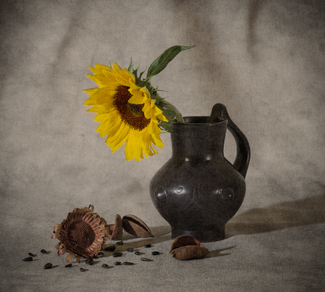 photo "***" tags: still life, ваза, подсолнечник