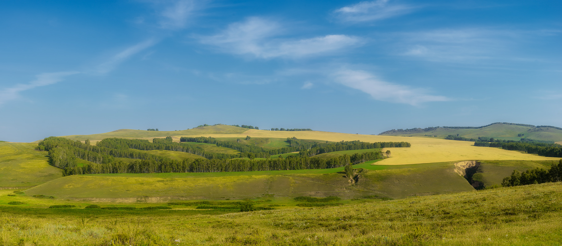 фото "Хакасия." метки: пейзаж, панорама, 