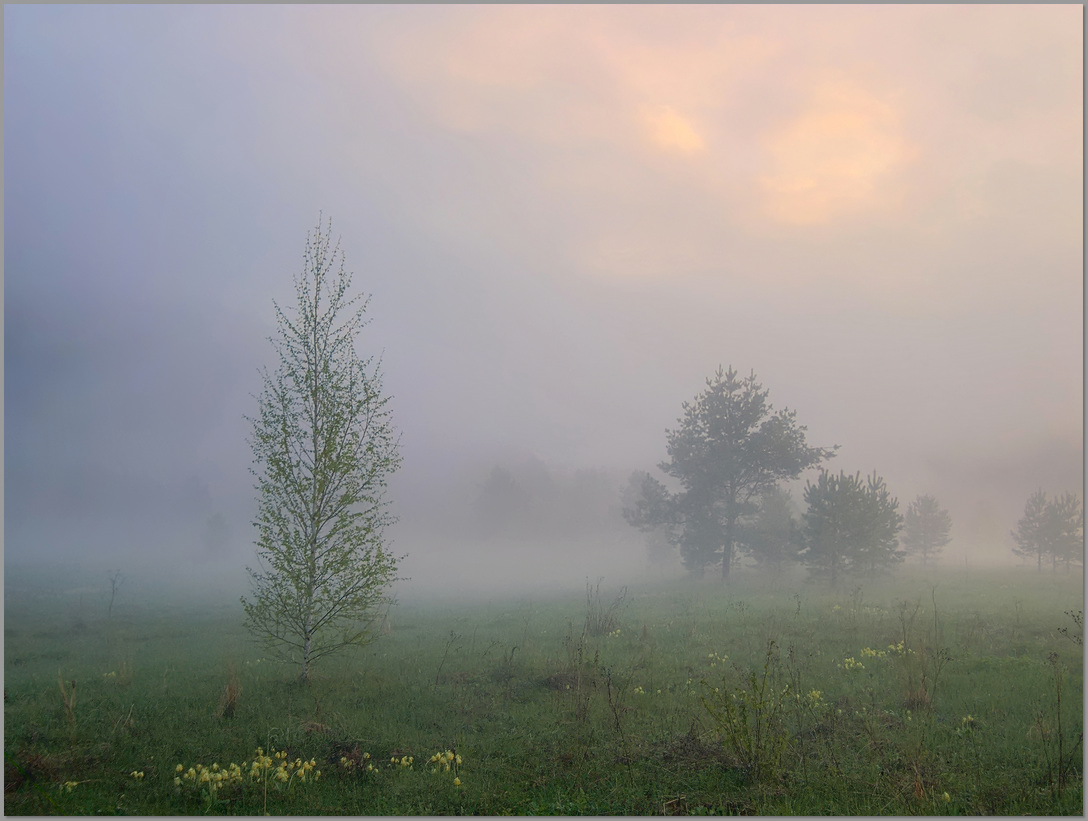 photo "***" tags: landscape, travel, RawTherapee, fog, spring, Южный Урал