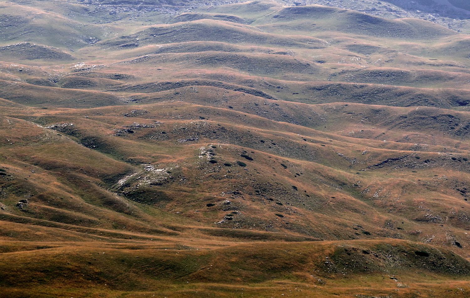 photo "Montenegro. Durmitor #2" tags: landscape, travel, nature, summer, Дурмитор, Черногория