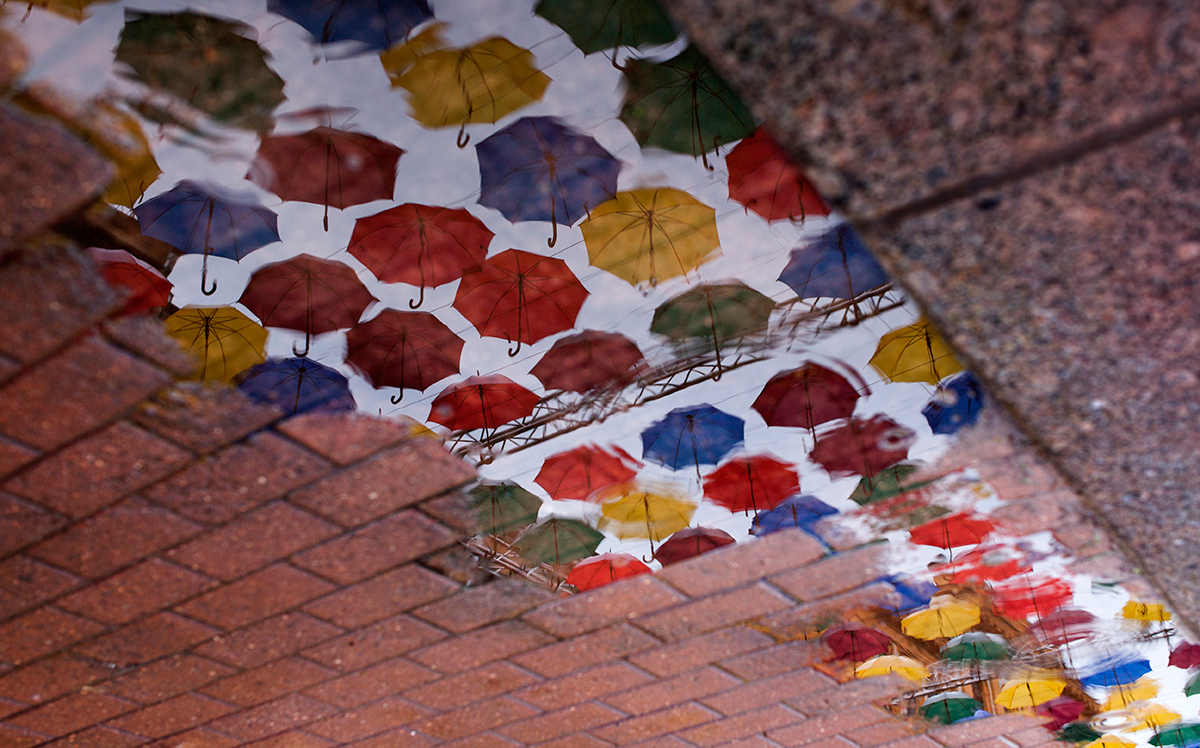 photo "***" tags: abstract, city, misc., St. Petersburg, rain, зонтики, капли, лужа, отражение