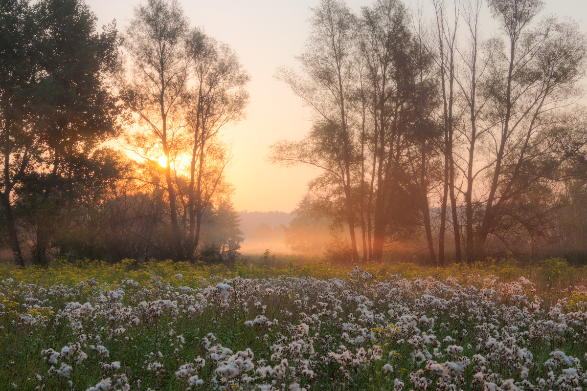 photo "***" tags: landscape, nature, 