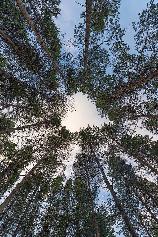 photo "From Karelia with love" tags: landscape, nature, travel, 