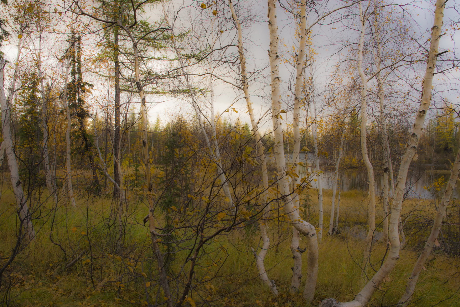 photo "Осень." tags: nature, landscape, 