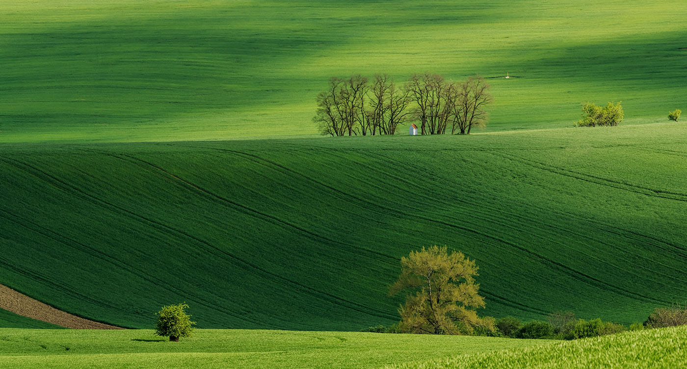 фото "Весеннее поле" метки: пейзаж, путешествия, панорама, Balkhovitin, Landscape, photographer, Европа, Чехия, Южная Моравия, весна, поле, путешествие, степь