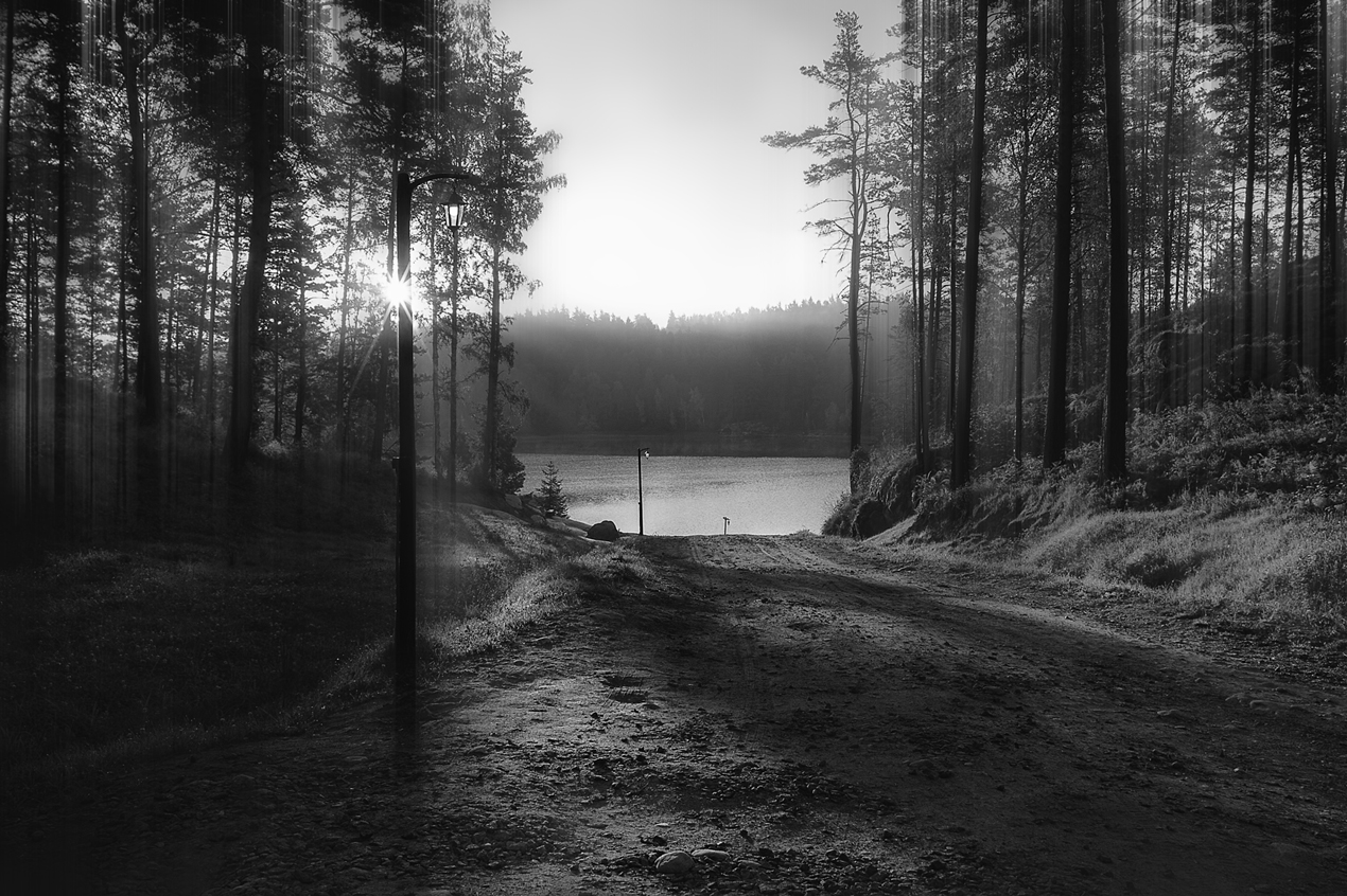 photo "Dreams about Karelia" tags: landscape, black&white, Karelia, morning, август