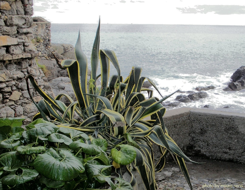 photo "beside the sea" tags: street, 