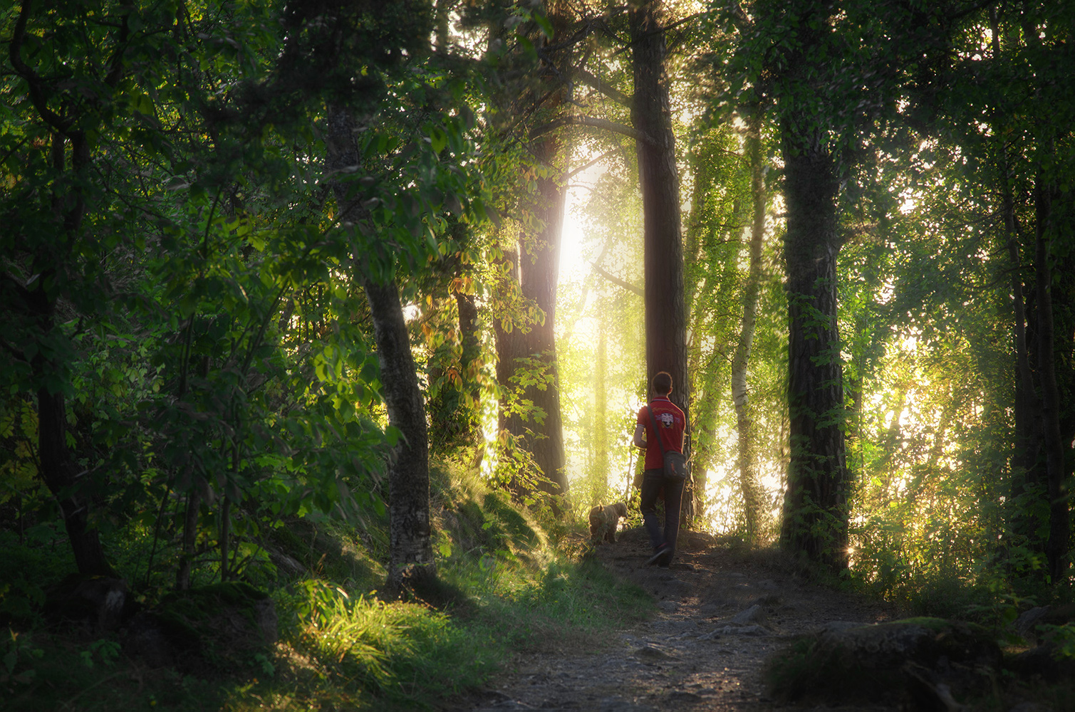 photo "***" tags: landscape, nature, genre, 
