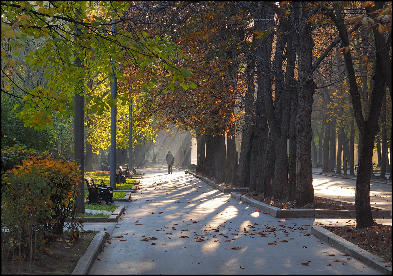 photo "fall in park" tags: city, misc., 