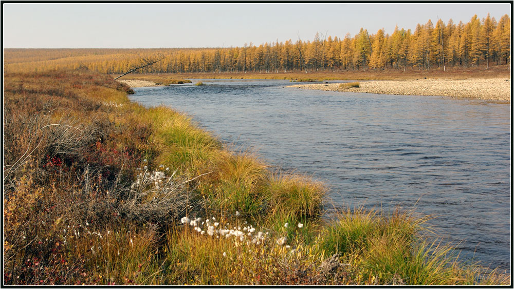 фото "Осенний Сытыкан" метки: пейзаж, Сытыкан, осень, река, тайга