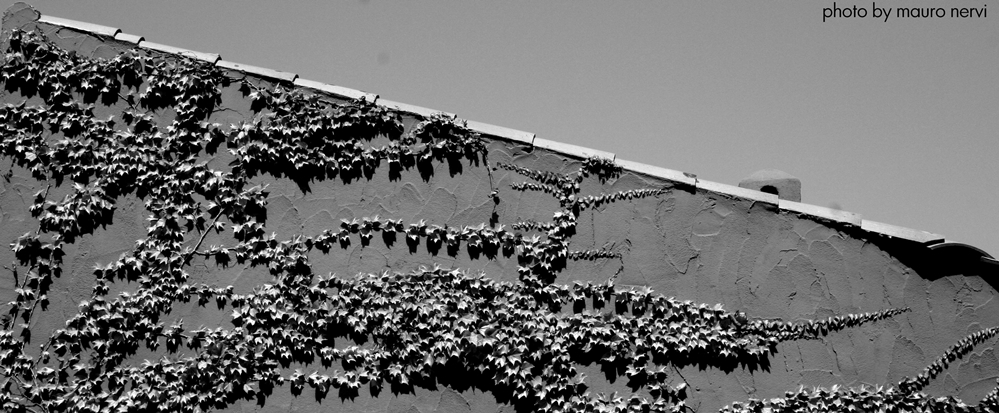 photo "the wall" tags: black&white, 