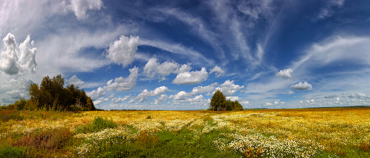 фото "Макушка лета" метки: пейзаж, июль, облака, поле, ромашки