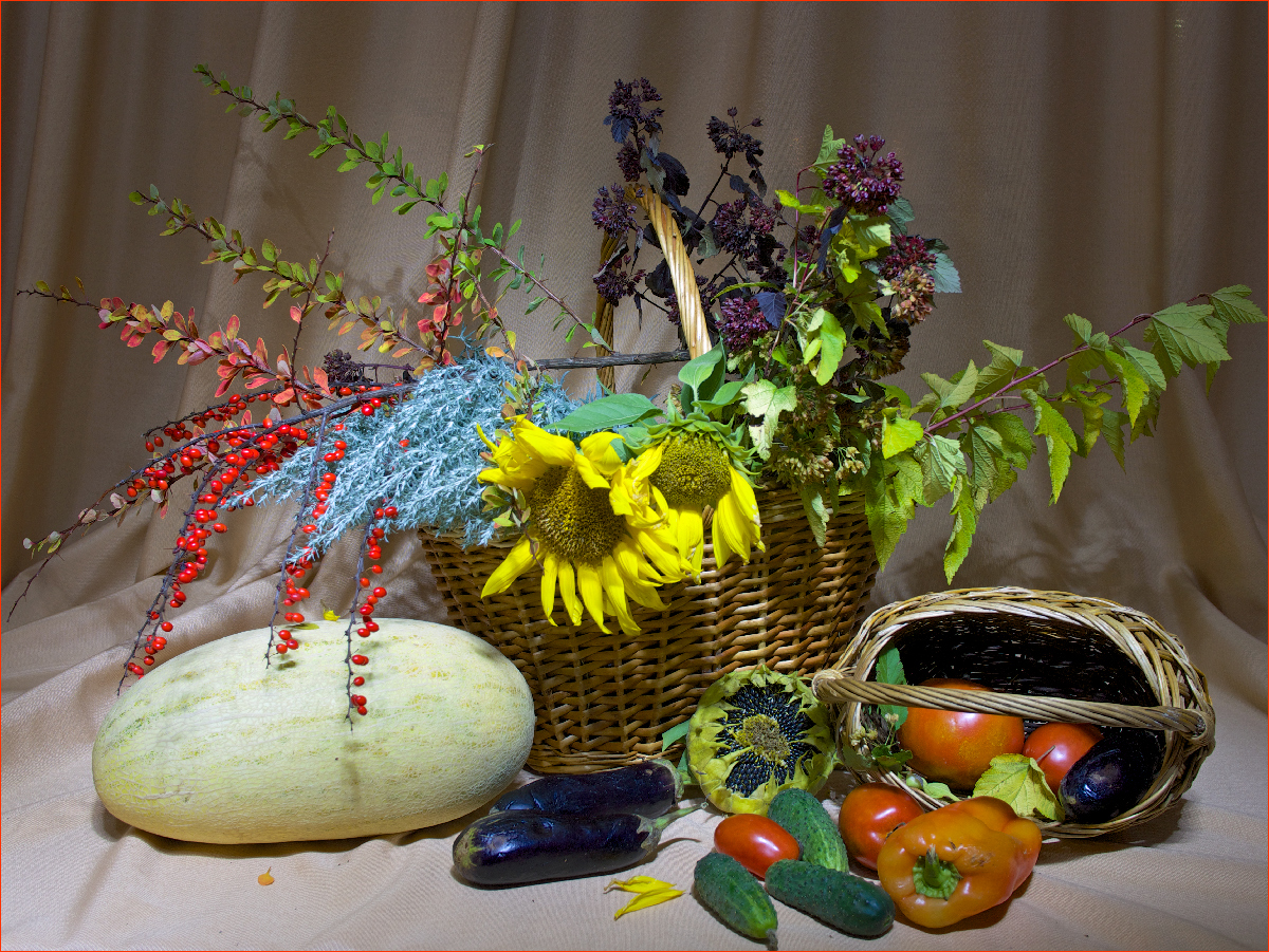 фото "Осенний этюд" метки: натюрморт, ветки, листья, плоды