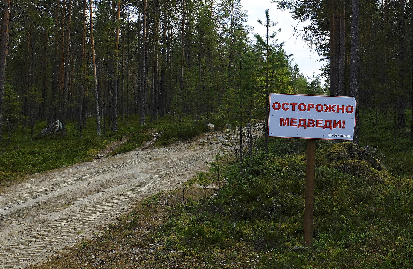 фото "Но мы проигнорировали....." метки: юмор, разное, 