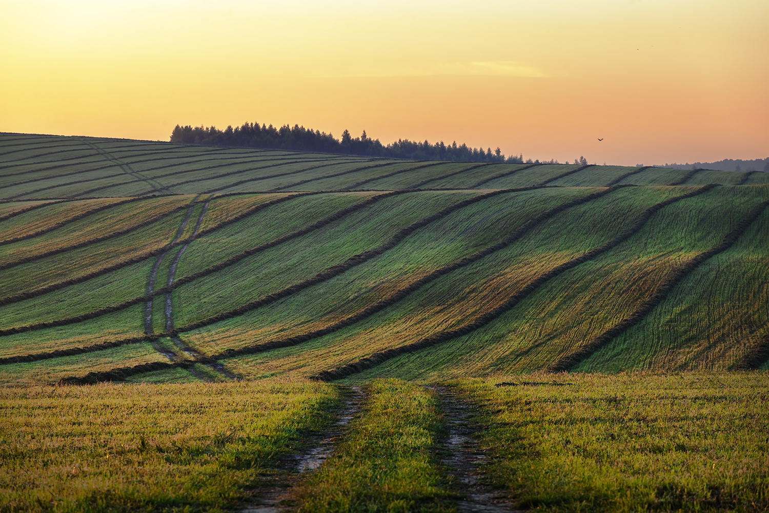 photo "***" tags: landscape, nature, 