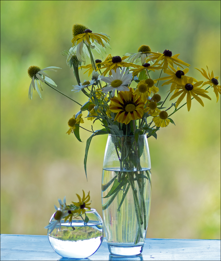 photo "***" tags: still life, flowers, ромашка, рудбекия