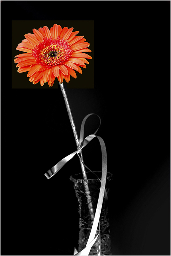 photo "***" tags: genre, still life, misc., 