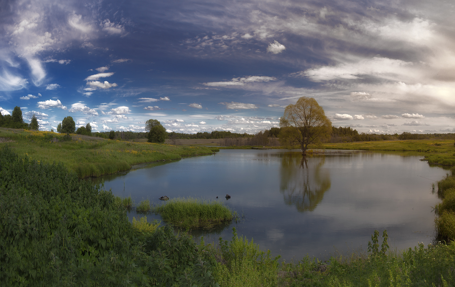 photo "***" tags: landscape, nature, 