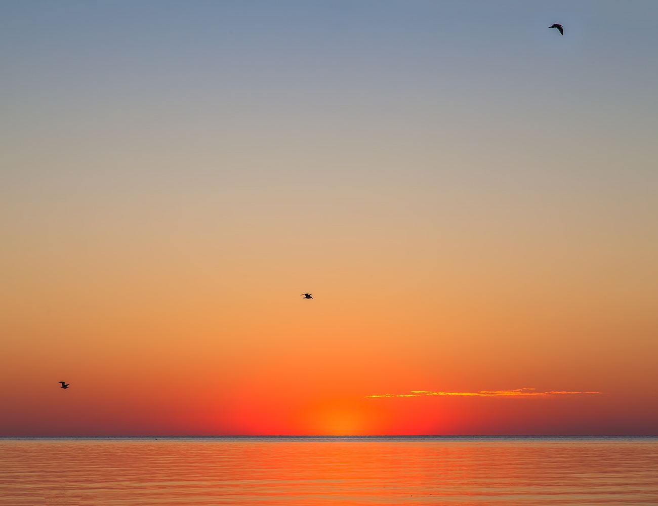 photo "***" tags: landscape, nature, 