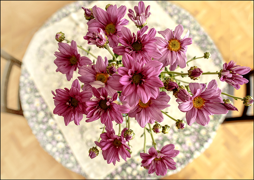 photo "***" tags: genre, still life, misc., 