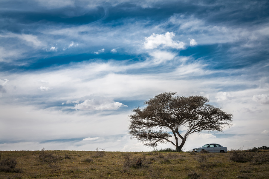 photo "***" tags: landscape, clouds, winter