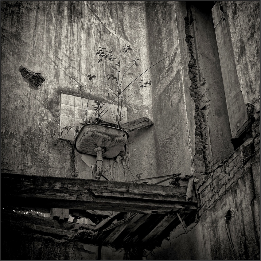 photo "***" tags: misc., black&white, 
