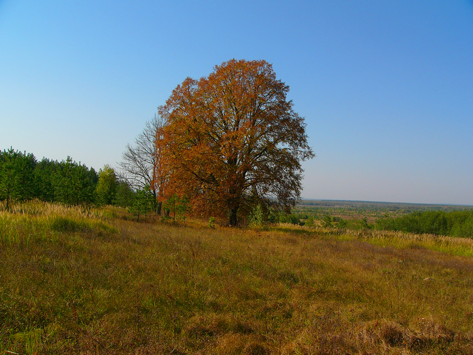 photo "***" tags: landscape, nature, 