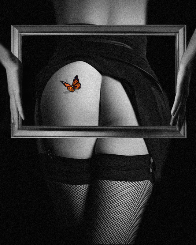 photo "Butterfly in frame..." tags: nude, glamour, digital art, 