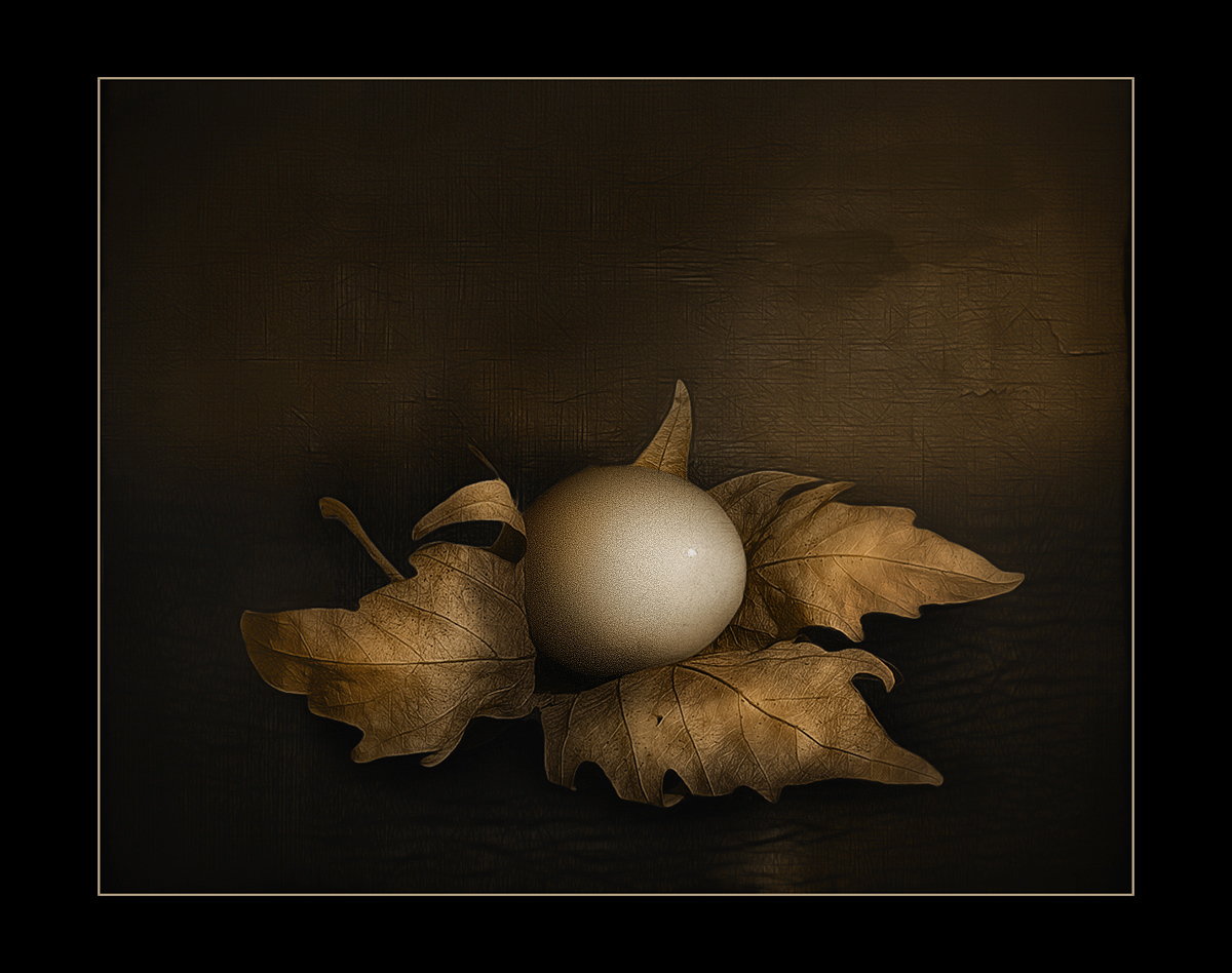 фото "гнездо" метки: натюрморт, digital art, 