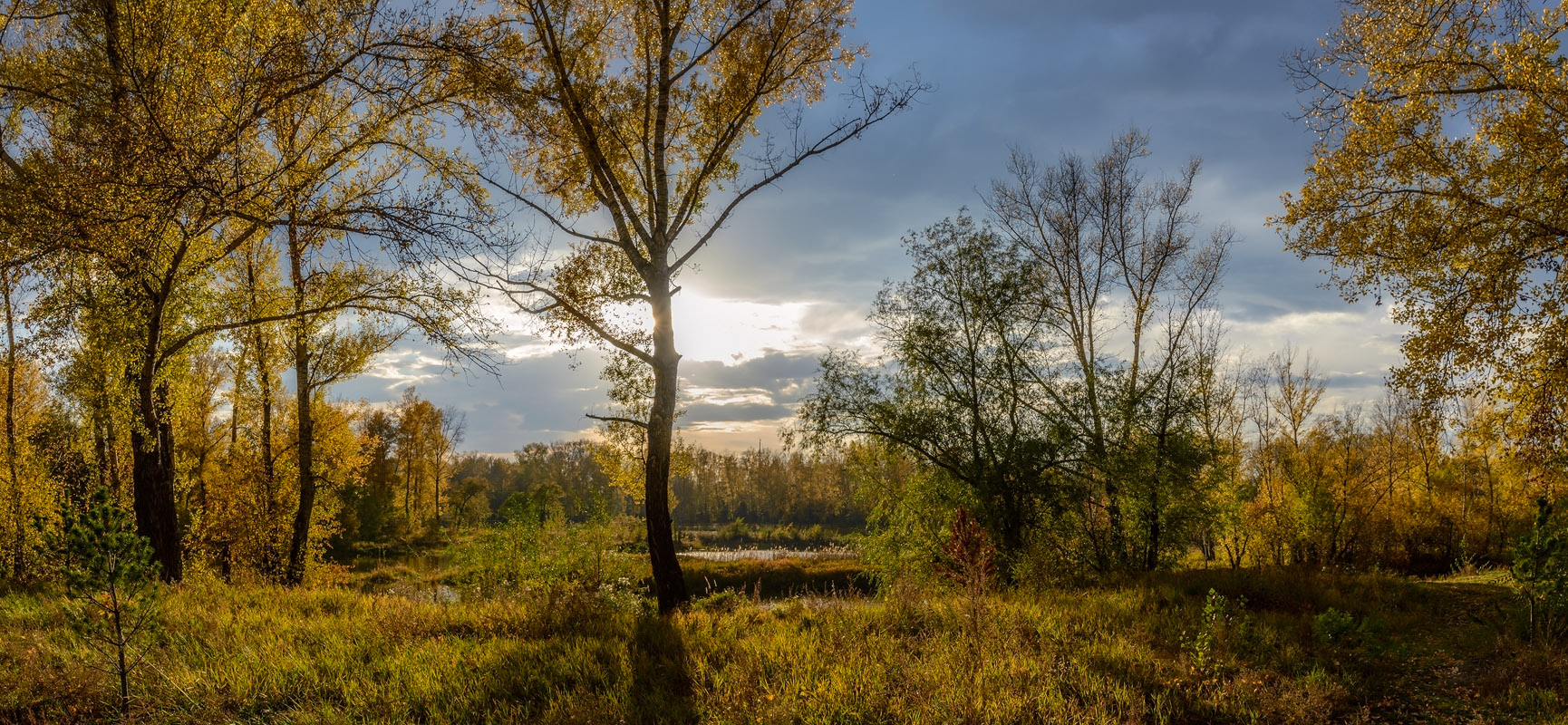 photo "***" tags: landscape, nature, travel, 