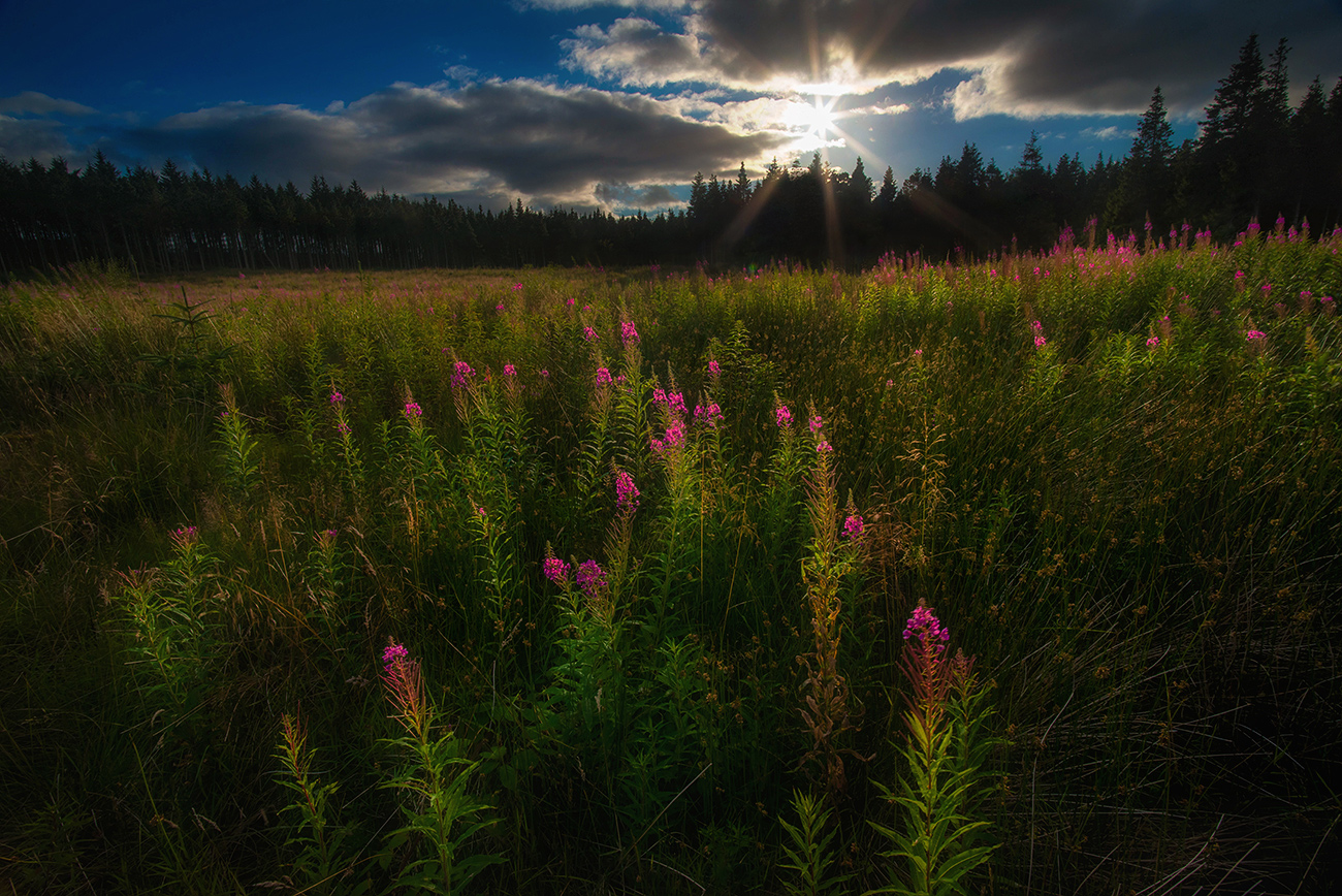 photo "The end of summer" tags: landscape, 