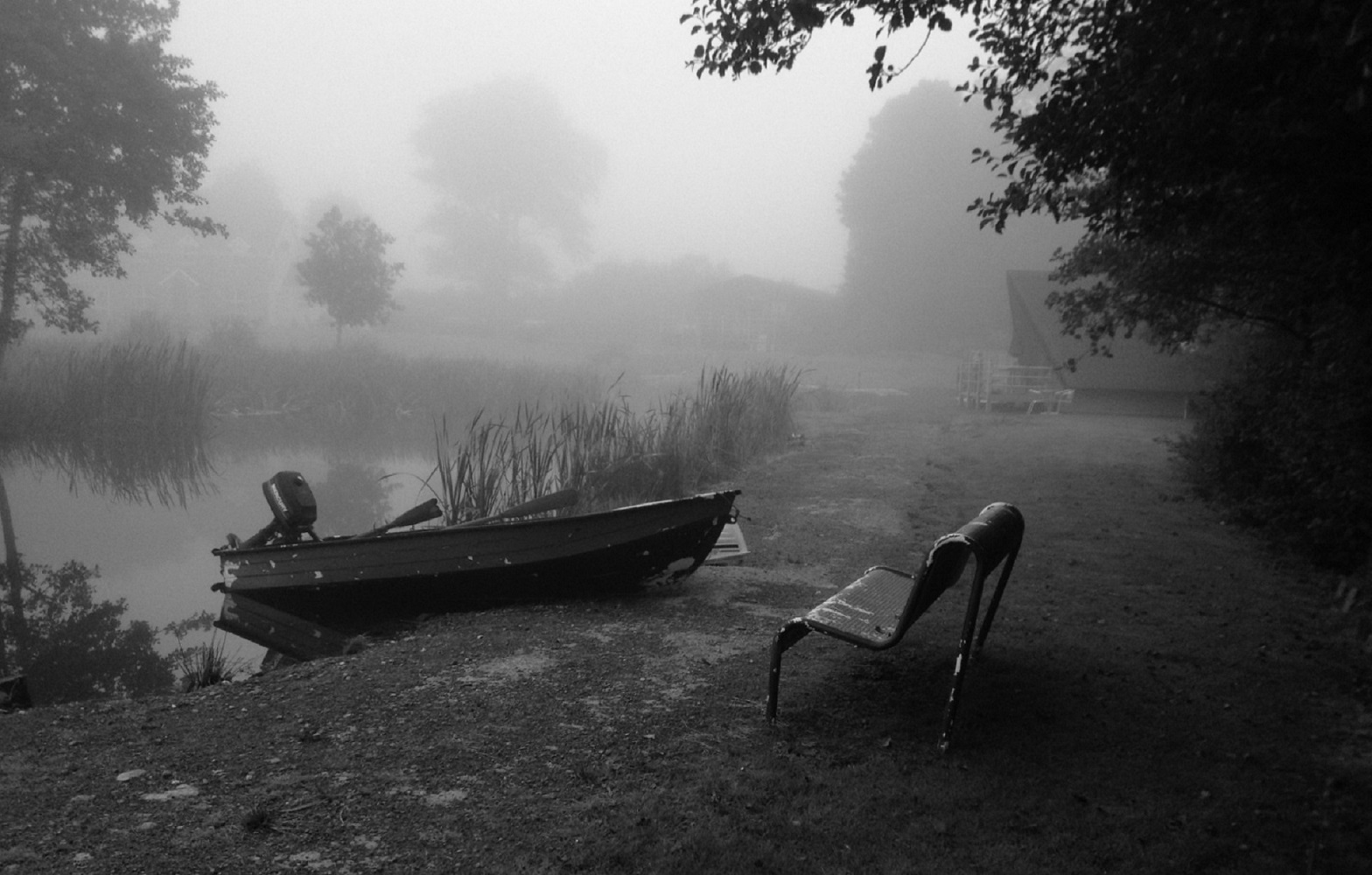 photo "A soft autumn morning" tags: black&white, 