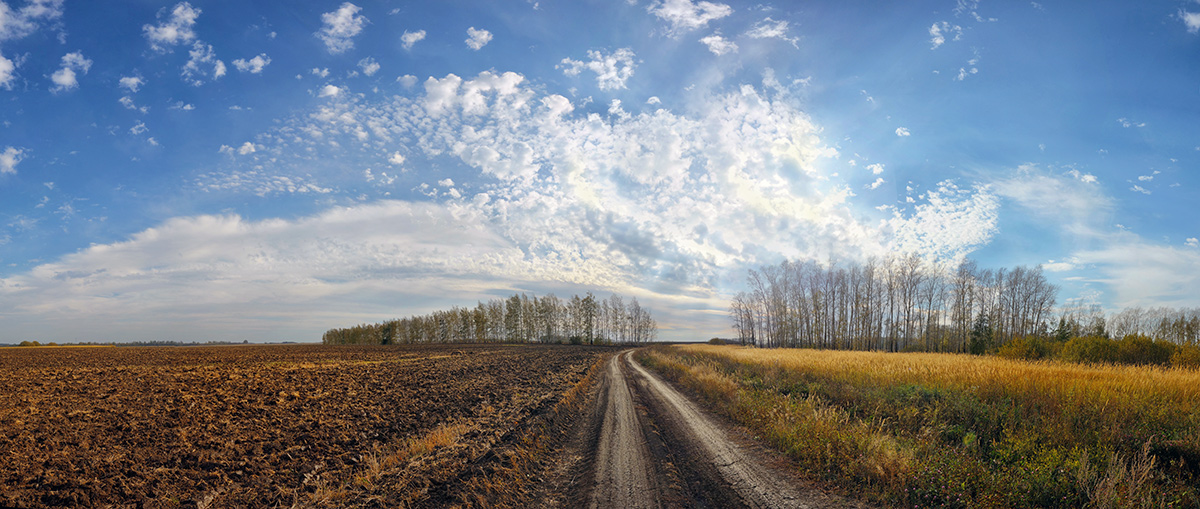 фото "Последний теплый день октября" метки: пейзаж, дорога, облака, октябрь