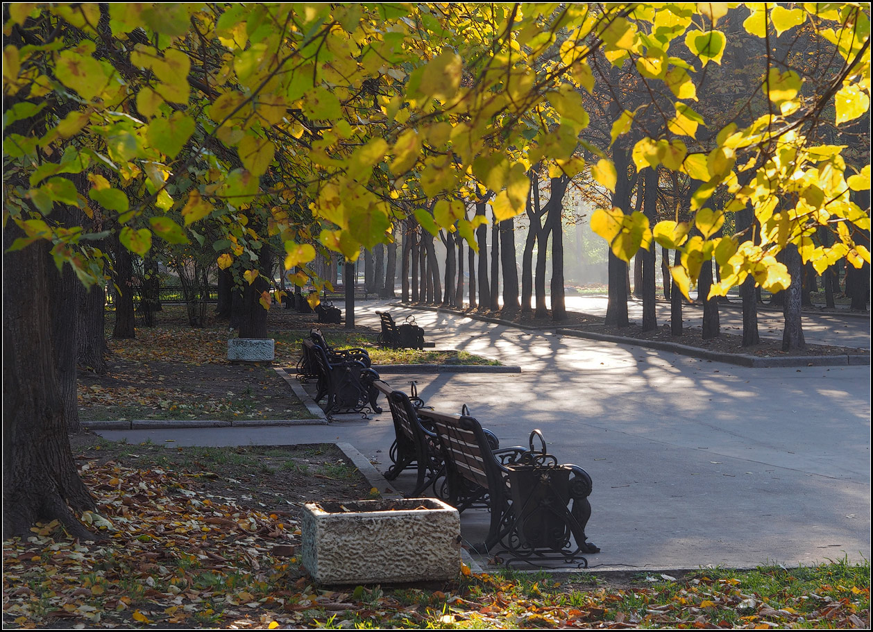 фото "осень в парке" метки: город, пейзаж, 