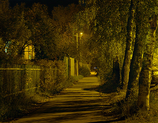 photo "Street at night" tags: landscape, city, reporting, autumn, night, shadow, street, деревья, забор, фонари