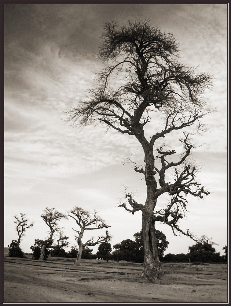 photo "***" tags: landscape, nature, travel, Africa