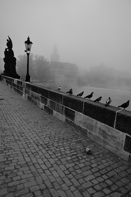 photo "Утренняя атмосфера-2" tags: black&white, Prag, Prague, Praha