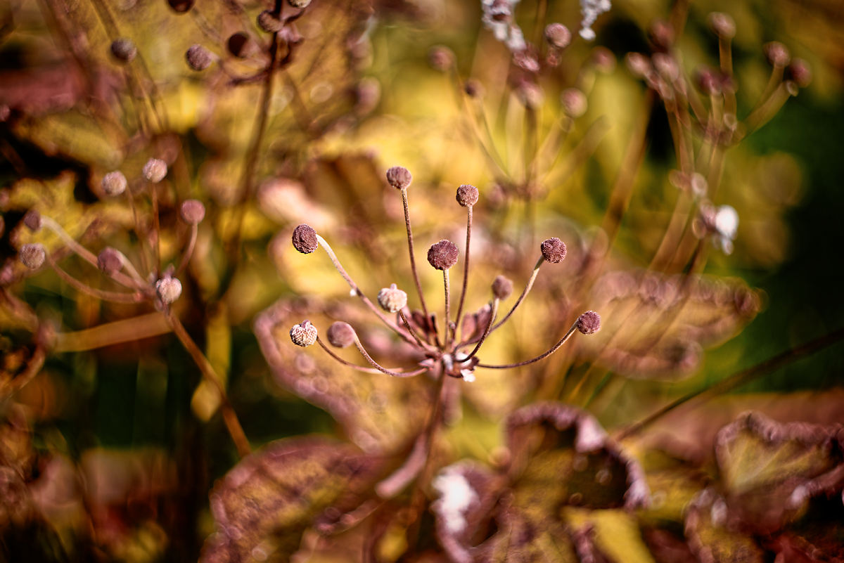 фото "***" метки: природа, 
