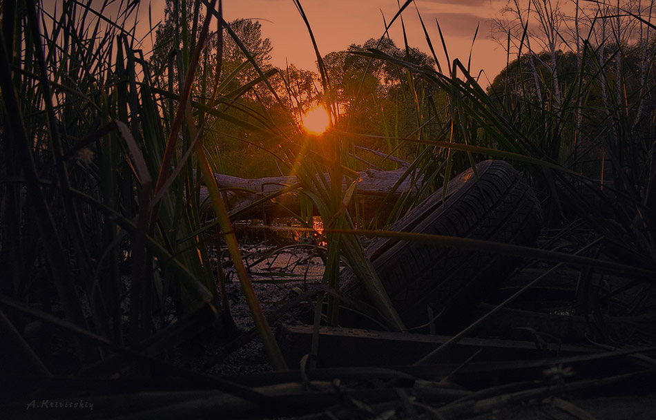 photo "кривицкий" tags: landscape, travel, nature, кривицкий