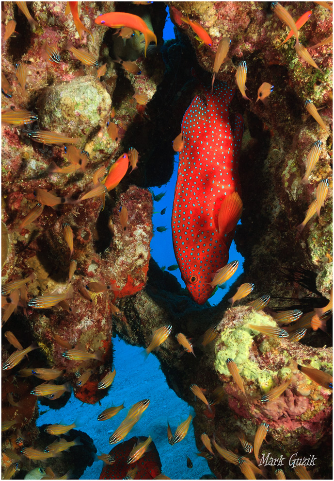 photo "Headstand" tags: underwater, 