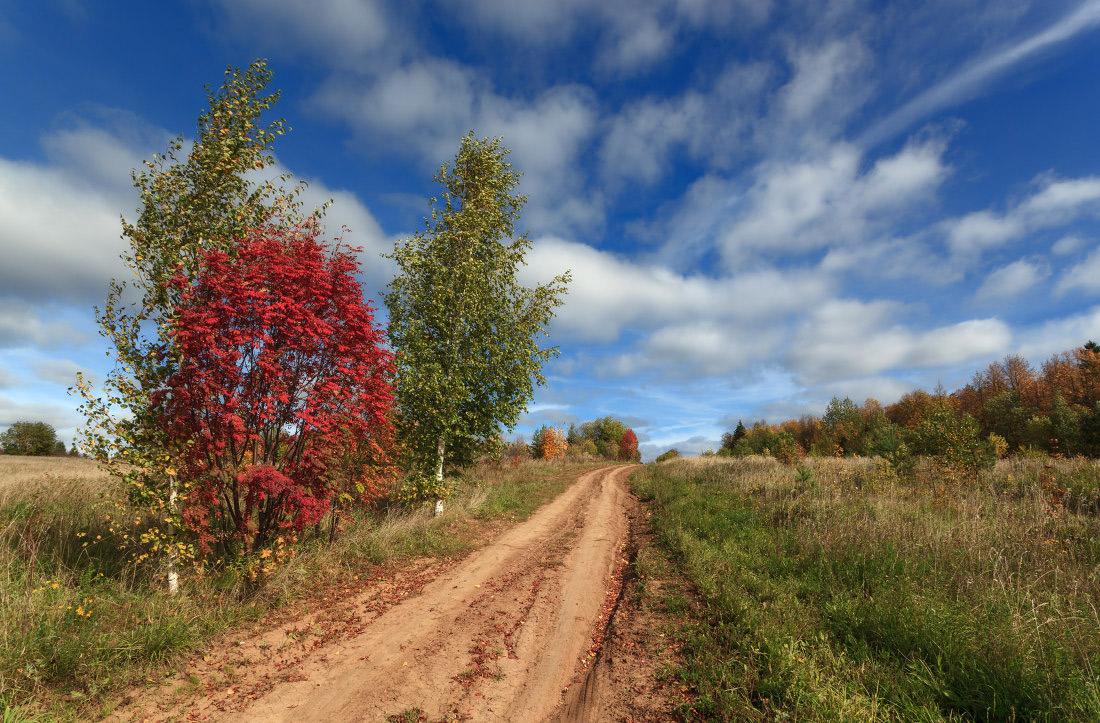 photo "***" tags: landscape, autumn, clouds, forest, grass, road, деревья, колея, краски, склон