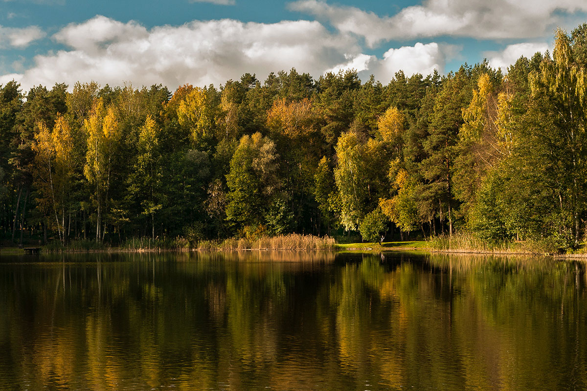 photo "***" tags: landscape, nature, autumn, clouds, sky, water, деревья