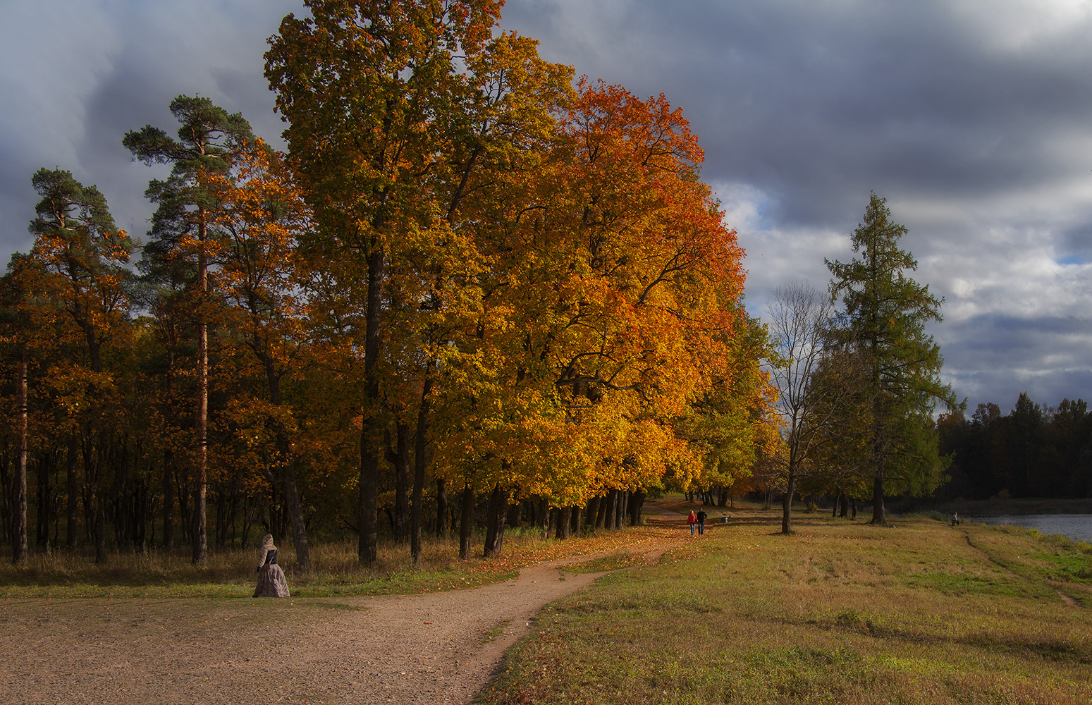 фото "Рыжая осень" метки: пейзаж, природа, 