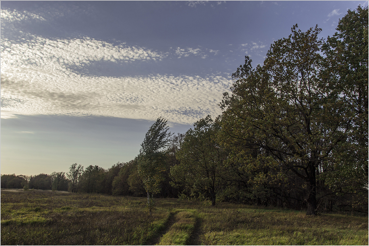 photo "September." tags: landscape, autumn, september, облако