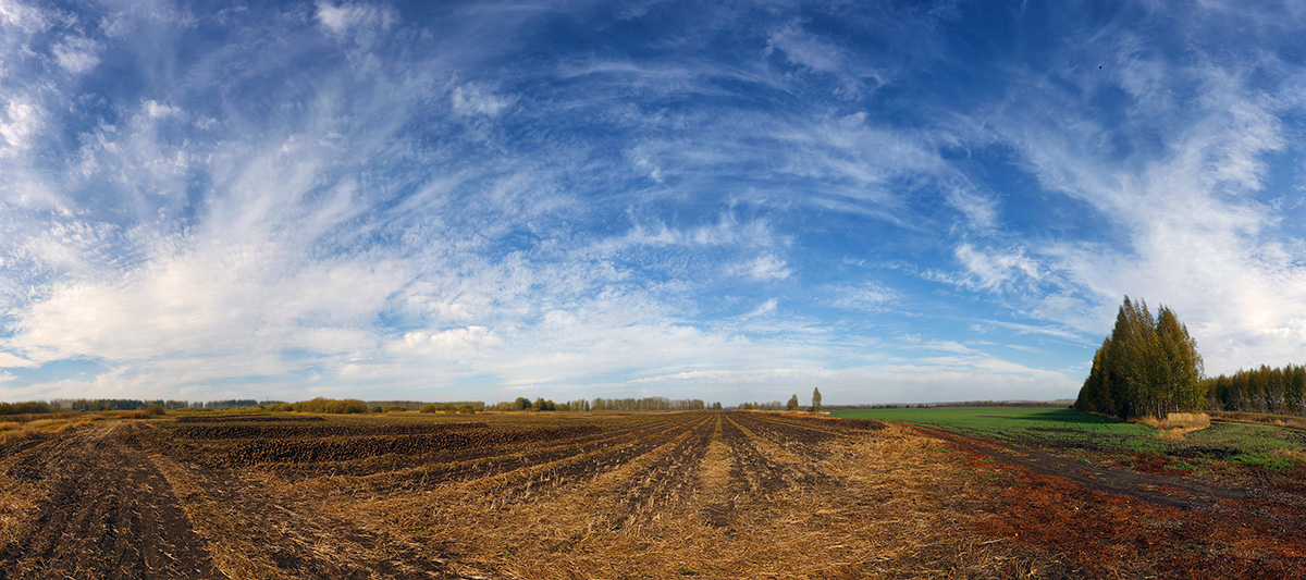 photo "***" tags: landscape, clouds, field, октябрь