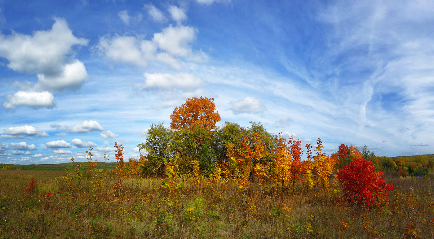 photo "***" tags: landscape, clouds, field, september